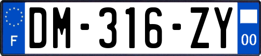 DM-316-ZY