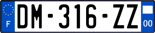 DM-316-ZZ