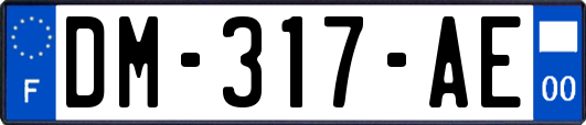 DM-317-AE