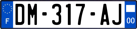 DM-317-AJ