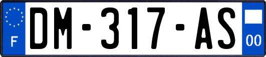 DM-317-AS