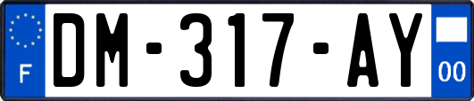 DM-317-AY