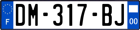 DM-317-BJ