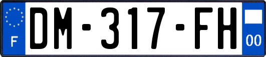 DM-317-FH