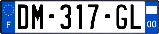 DM-317-GL