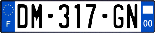 DM-317-GN