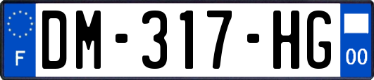 DM-317-HG