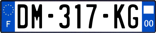 DM-317-KG