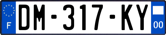 DM-317-KY