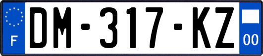 DM-317-KZ