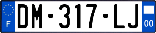 DM-317-LJ