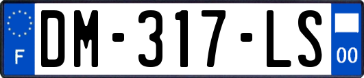 DM-317-LS