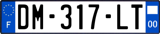 DM-317-LT