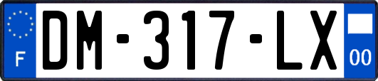 DM-317-LX