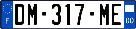 DM-317-ME