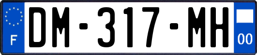DM-317-MH