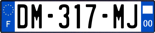 DM-317-MJ