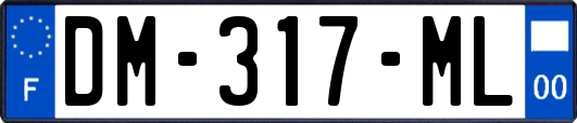 DM-317-ML