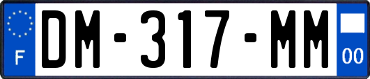 DM-317-MM