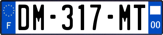 DM-317-MT