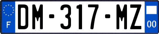 DM-317-MZ
