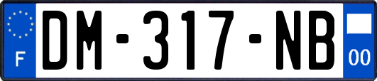 DM-317-NB