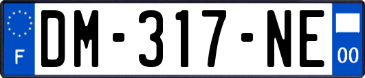 DM-317-NE