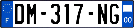 DM-317-NG