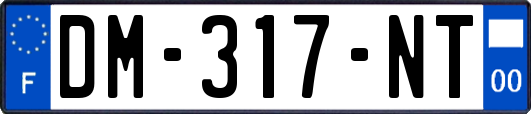 DM-317-NT