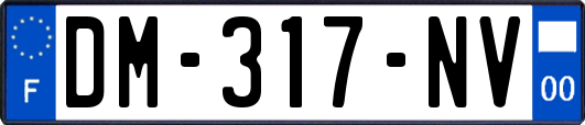 DM-317-NV