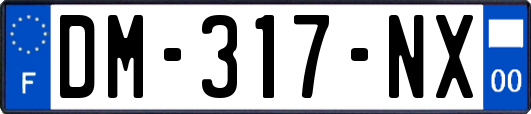 DM-317-NX
