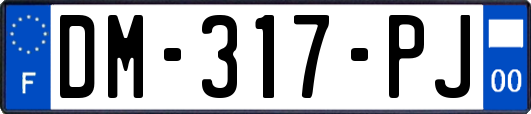DM-317-PJ