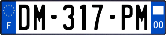 DM-317-PM