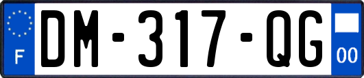 DM-317-QG