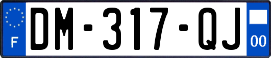 DM-317-QJ