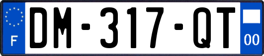DM-317-QT