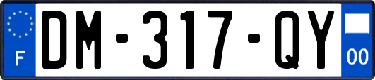 DM-317-QY