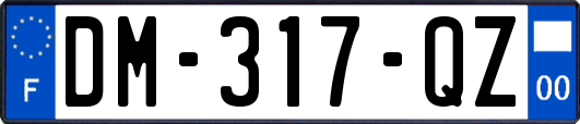DM-317-QZ
