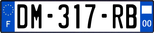 DM-317-RB