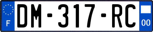 DM-317-RC