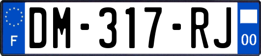 DM-317-RJ