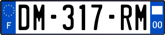 DM-317-RM