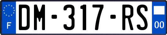 DM-317-RS