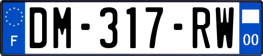 DM-317-RW