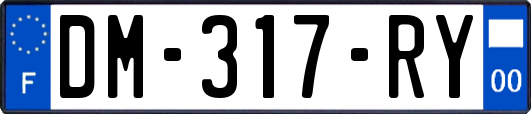 DM-317-RY