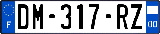 DM-317-RZ
