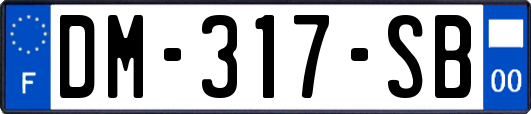DM-317-SB