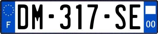 DM-317-SE
