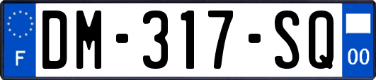 DM-317-SQ