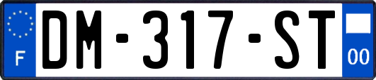 DM-317-ST